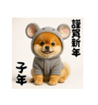 毎年使える♡ポメラニアンの年末年始（個別スタンプ：29）