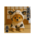 毎年使える♡ポメラニアンの年末年始（個別スタンプ：30）