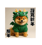 毎年使える♡ポメラニアンの年末年始（個別スタンプ：33）