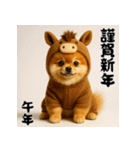 毎年使える♡ポメラニアンの年末年始（個別スタンプ：35）
