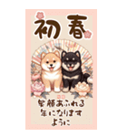 【あけおめ】柴犬と白馬の2026（個別スタンプ：2）