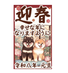 【あけおめ】柴犬と白馬の2026（個別スタンプ：4）