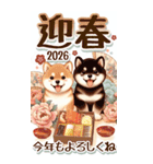 【あけおめ】柴犬と白馬の2026（個別スタンプ：8）