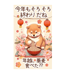 【あけおめ】柴犬と白馬の2026（個別スタンプ：22）