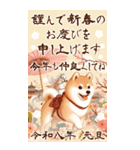 【あけおめ】柴犬と白馬の2026（個別スタンプ：23）