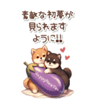 【あけおめ】柴犬と白馬の2026（個別スタンプ：37）