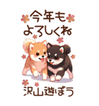【あけおめ】柴犬と白馬の2026（個別スタンプ：38）