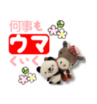 あみぐるみパンダ お正月2026（個別スタンプ：6）