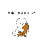 お正月 ビションフリーゼ（個別スタンプ：31）