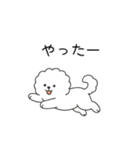 お正月 ビションフリーゼ（個別スタンプ：36）