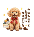トイプードルの年末年始2026（個別スタンプ：16）