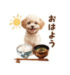 トイプードルの年末年始2026（個別スタンプ：21）