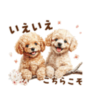 トイプードルの年末年始2026（個別スタンプ：28）