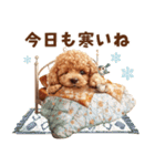 トイプードルの年末年始2026（個別スタンプ：34）