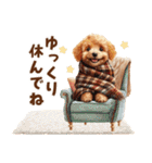 トイプードルの年末年始2026（個別スタンプ：36）