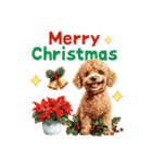 トイプードルの年末年始2026（個別スタンプ：37）