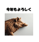 十二支全部 あけおめ 年賀状 木彫り（個別スタンプ：40）