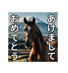 馬のお正月ポップアップスタンプ（個別スタンプ：2）