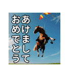馬のお正月ポップアップスタンプ（個別スタンプ：3）