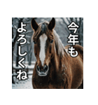 馬のお正月ポップアップスタンプ（個別スタンプ：15）