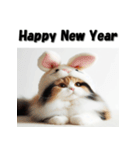 十二支全部 あけおめ 年賀状 三毛猫（個別スタンプ：11）