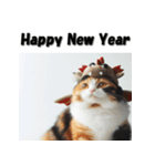 十二支全部 あけおめ 年賀状 三毛猫（個別スタンプ：14）