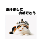 十二支全部 あけおめ 年賀状 三毛猫（個別スタンプ：17）