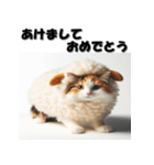 十二支全部 あけおめ 年賀状 三毛猫（個別スタンプ：22）