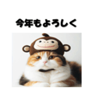 十二支全部 あけおめ 年賀状 三毛猫（個別スタンプ：28）