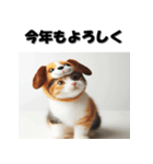 十二支全部 あけおめ 年賀状 三毛猫（個別スタンプ：35）