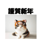 十二支全部 あけおめ 年賀状 三毛猫（個別スタンプ：40）