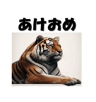 十二支全部 あけおめ 年賀状 リアル2（個別スタンプ：10）
