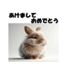 十二支全部 あけおめ 年賀状 リアル2（個別スタンプ：11）