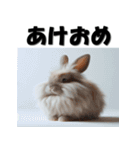 十二支全部 あけおめ 年賀状 リアル2（個別スタンプ：13）