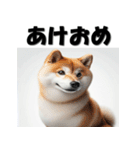 十二支全部 あけおめ 年賀状 リアル2（個別スタンプ：36）