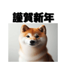 十二支全部 あけおめ 年賀状 リアル2（個別スタンプ：37）