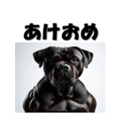 十二支全部 あけおめ 年賀状 マッチョ（個別スタンプ：37）