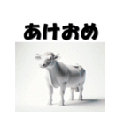 十二支全部 あけおめ 年賀状 3Dアート（個別スタンプ：5）