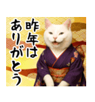 あけおめ猫の年末年始スタンプ（個別スタンプ：4）