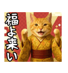 あけおめ猫の年末年始スタンプ（個別スタンプ：6）