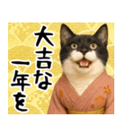 あけおめ猫の年末年始スタンプ（個別スタンプ：9）