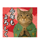 あけおめ猫の年末年始スタンプ（個別スタンプ：10）