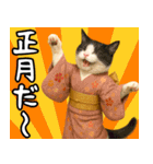 あけおめ猫の年末年始スタンプ（個別スタンプ：11）