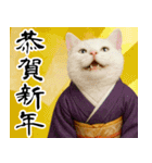 あけおめ猫の年末年始スタンプ（個別スタンプ：15）