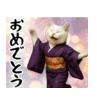 あけおめ猫の年末年始スタンプ（個別スタンプ：17）