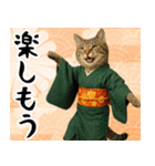 あけおめ猫の年末年始スタンプ（個別スタンプ：20）