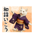 あけおめ猫の年末年始スタンプ（個別スタンプ：22）