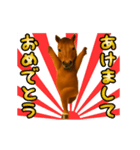 踊る！馬！お正月スタンプ（個別スタンプ：1）