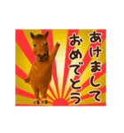 踊る！馬！お正月スタンプ（個別スタンプ：2）