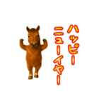 踊る！馬！お正月スタンプ（個別スタンプ：7）